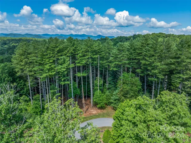 a view of a green yard with large trees