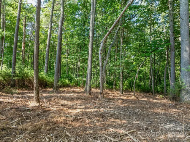a view of outdoor space and trees