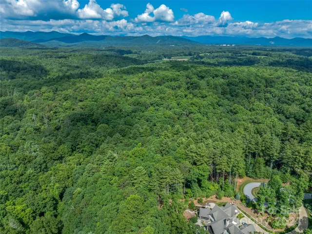 a view of a city with lush green forest