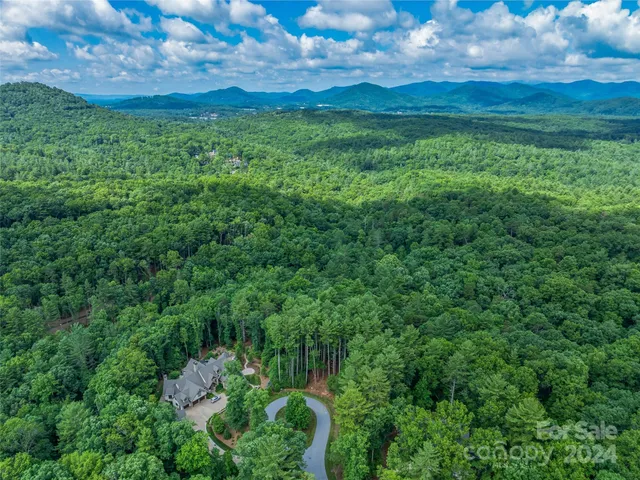 a view of a lush green space