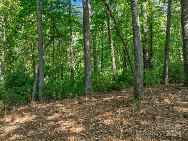 a view of outdoor space and green space