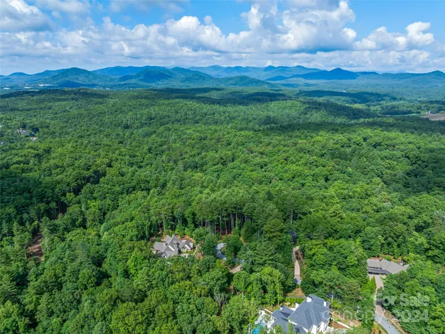 a view of a city with lush green forest
