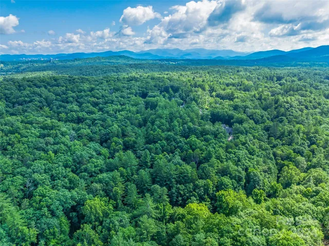 a view of a big yard