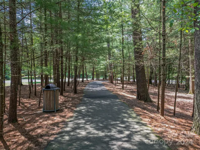 a view of a street with large trees