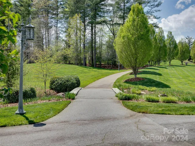 a view of a park with large trees
