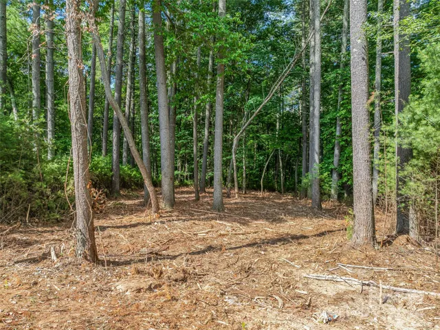 a view of backyard with green space