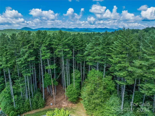 a view of a back yard