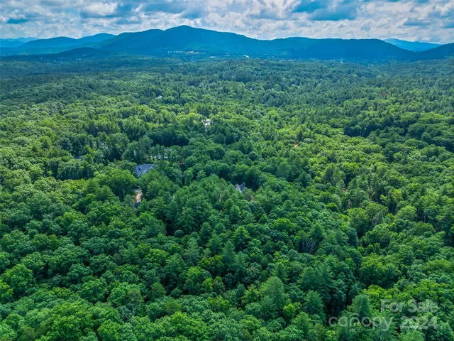 a view of a mountain with an lush green forest