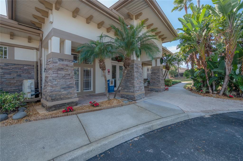 2012 Fern Ridge Court Holiday, FL 34691 - Photo 50 of 54 a palm tree sitting in front of a building