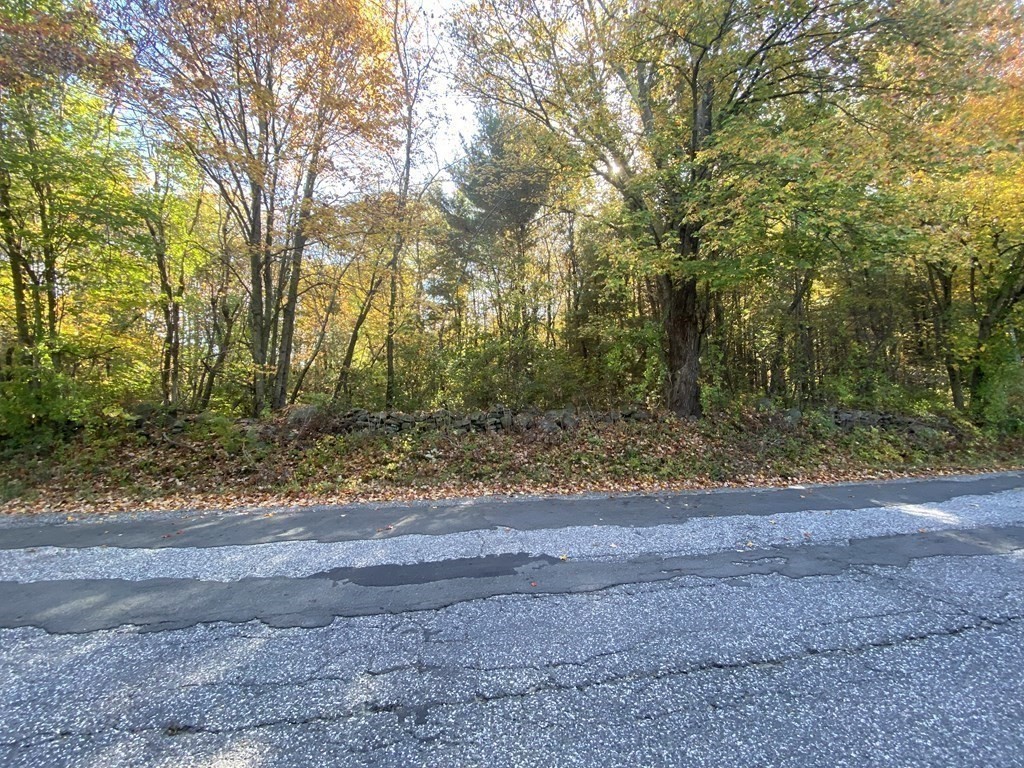 0 Michael Sears Road Belchertown, MA 01007 - Photo 1 of 17 Gallery Image 1