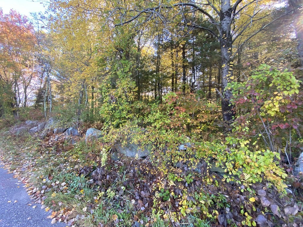 0 Michael Sears Road Belchertown, MA 01007 - Photo 11 of 17 Gallery Image 11