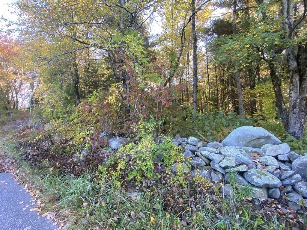 0 Michael Sears Road Belchertown, MA 01007 - Photo 2 of 17 Gallery Image 2