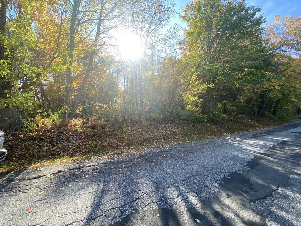 0 Michael Sears Road Belchertown, MA 01007 - Photo 3 of 17 Gallery Image 3