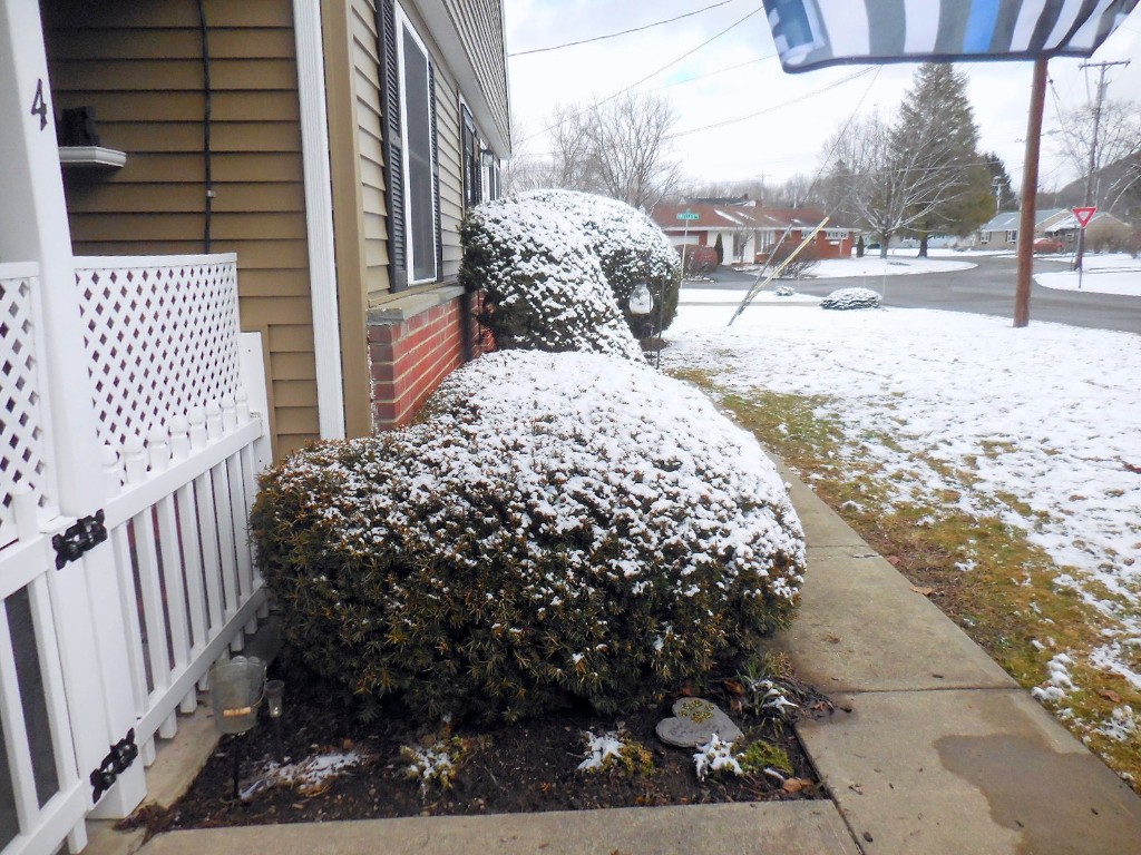4 Ritchie Road Binghamton, NY 13901 - Photo 2 of 44 Gallery Image 2
