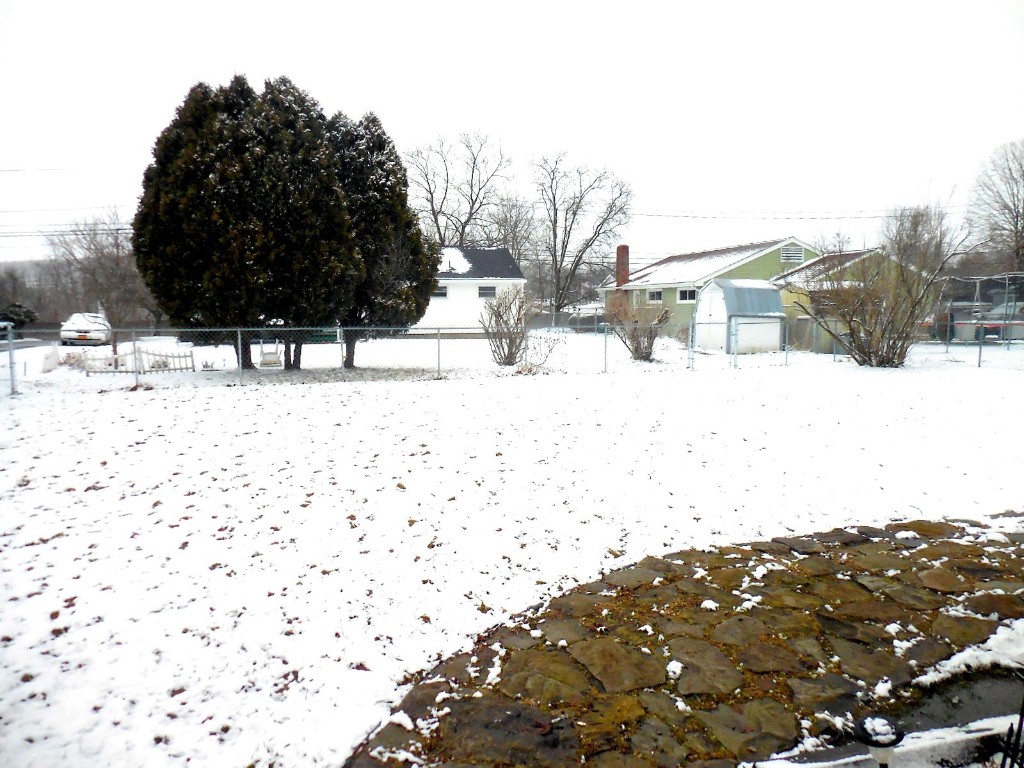 4 Ritchie Road Binghamton, NY 13901 - Photo 6 of 44 Gallery Image 6