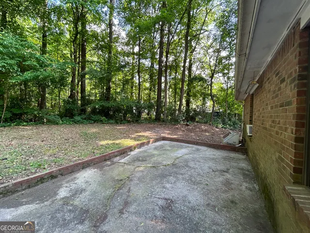 a view of a yard with plants and large trees