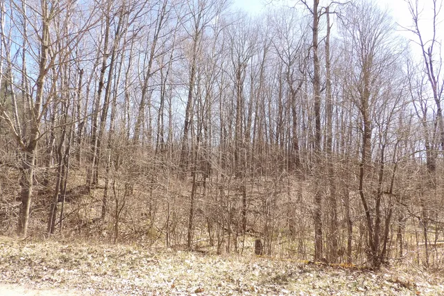 $8,800 | 23094 Apache Trail, Evart, MI 49631