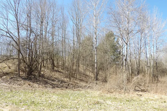 $8,800 | 23094 Apache Trail, Evart, MI 49631