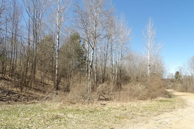 $8,800 | 23094 Apache Trail, Evart, MI 49631