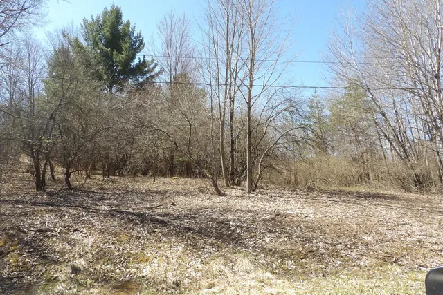 $8,800 | 23094 Apache Trail, Evart, MI 49631