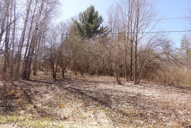 $8,800 | 23094 Apache Trail, Evart, MI 49631