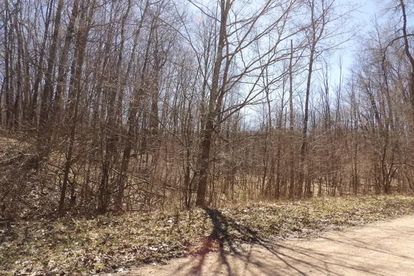 $8,800 | 23094 Apache Trail, Evart, MI 49631