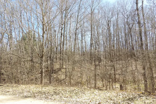 $8,800 | 23094 Apache Trail, Evart, MI 49631