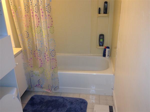 47-49 Nottinghill Road Boston, MA 02135 - Photo 3 of 8 Gallery Image 3
