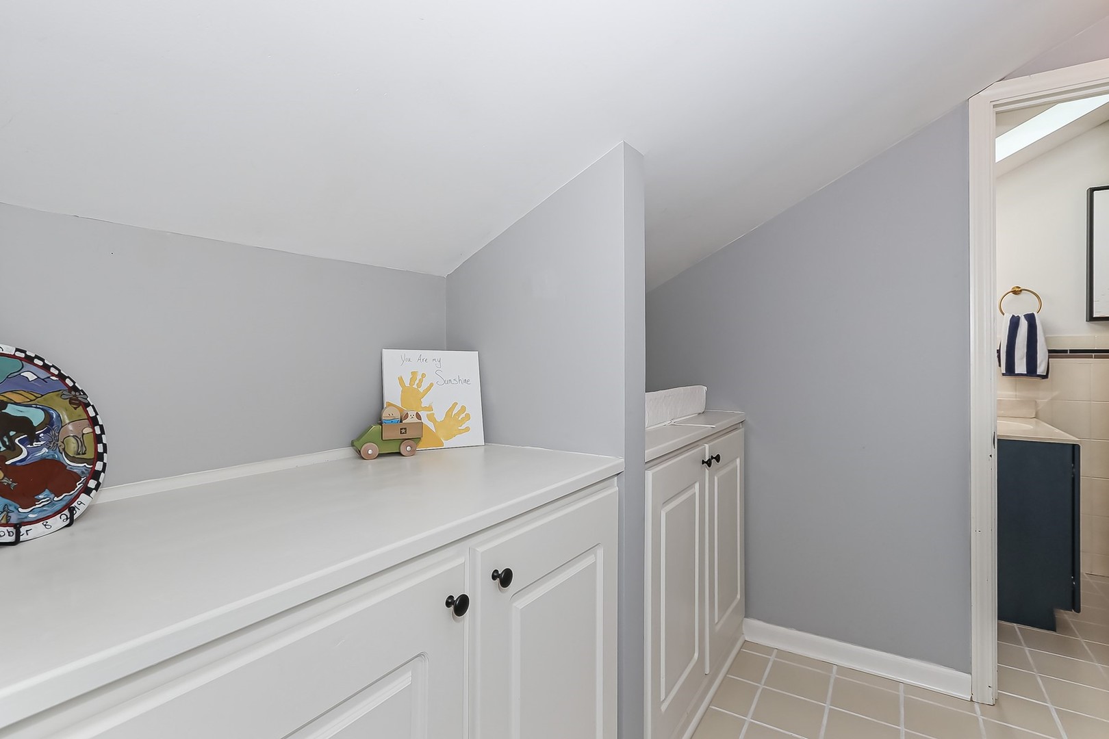 879 Georgetowne Lane Barrington, IL 60010 - Photo 36 of 44 a view of storage and utility room with closet
