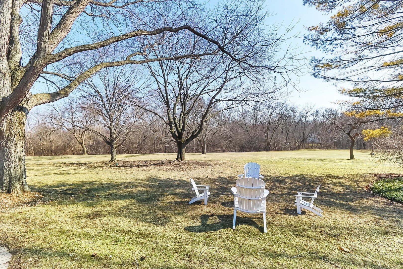 879 Georgetowne Lane Barrington, IL 60010 - Photo 44 of 44 a view of a lake with a yard
