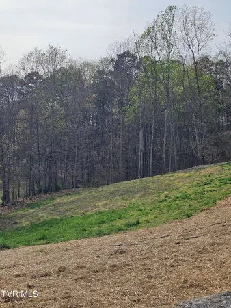 $242,900 | 1029 Red Bud Lane, Rogersville, TN 37857