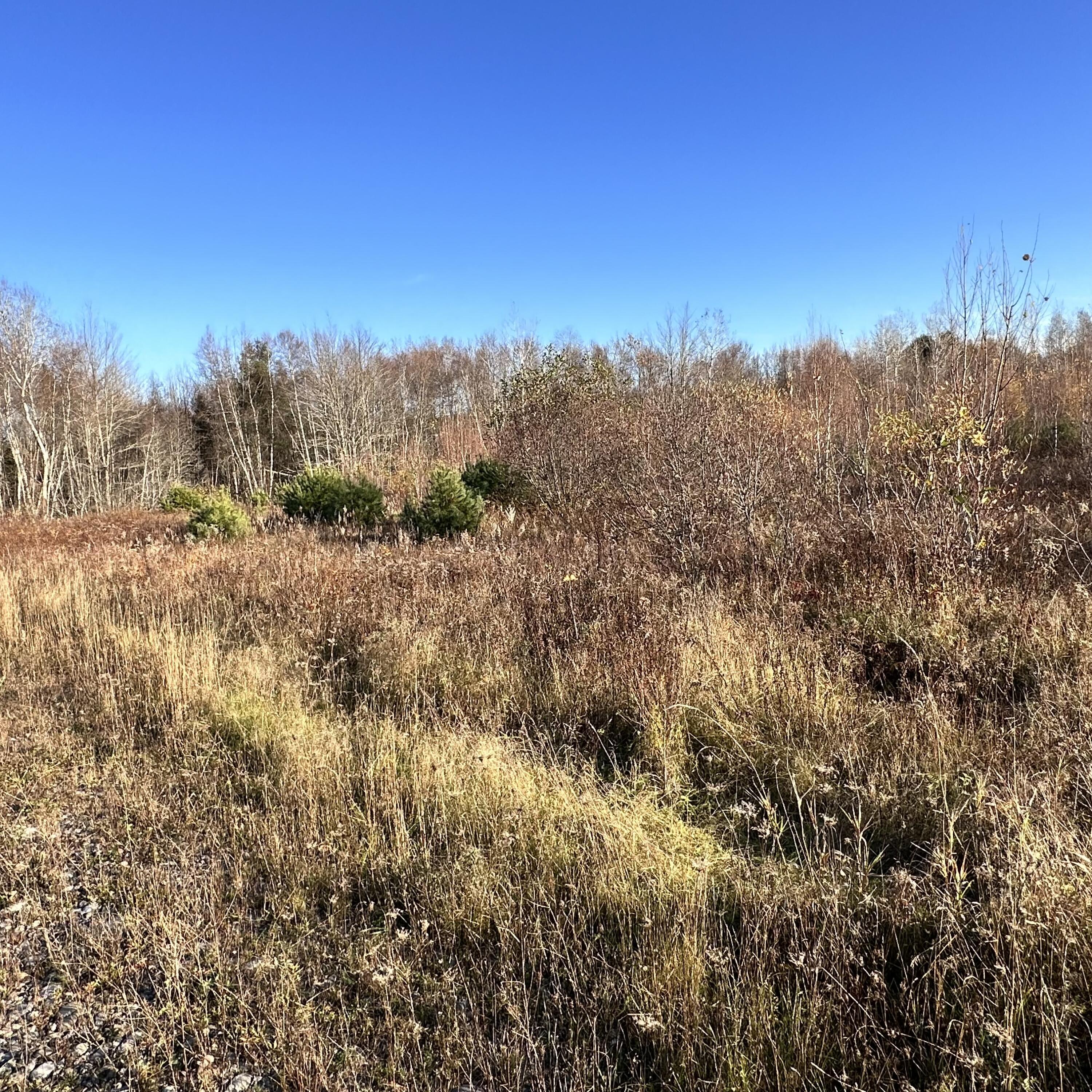 Lot52 Dodlin Road, Enfield, ME 04493 Compass