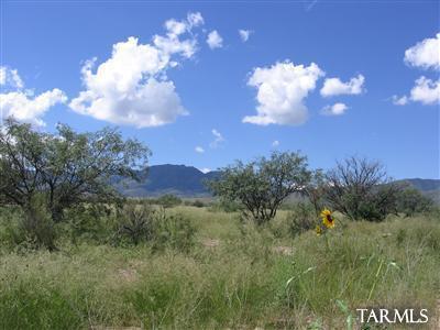 1 Lot On Stronghold & Palm Road Cochise, AZ 85606 - Photo 5 of 8