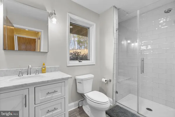 a bathroom with a toilet a sink a glass door a shower a mirror and vanity