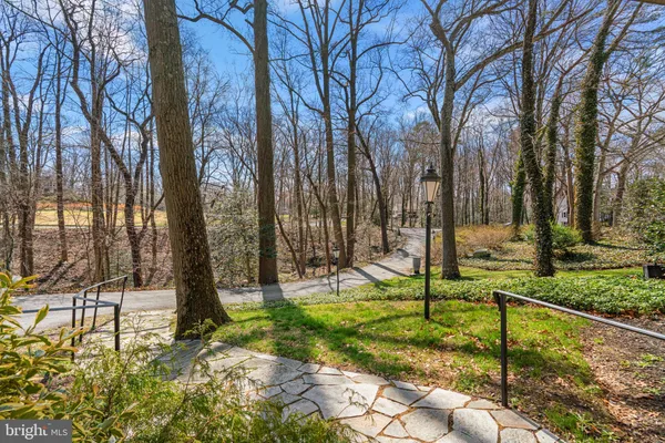 a view of a park with large trees