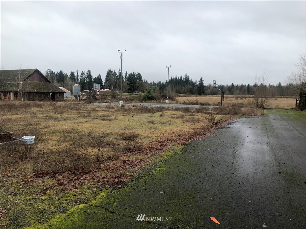 29816 Webster Road East Graham, WA 98338 - Photo 8 of 40 a view of a town with mountains in the background