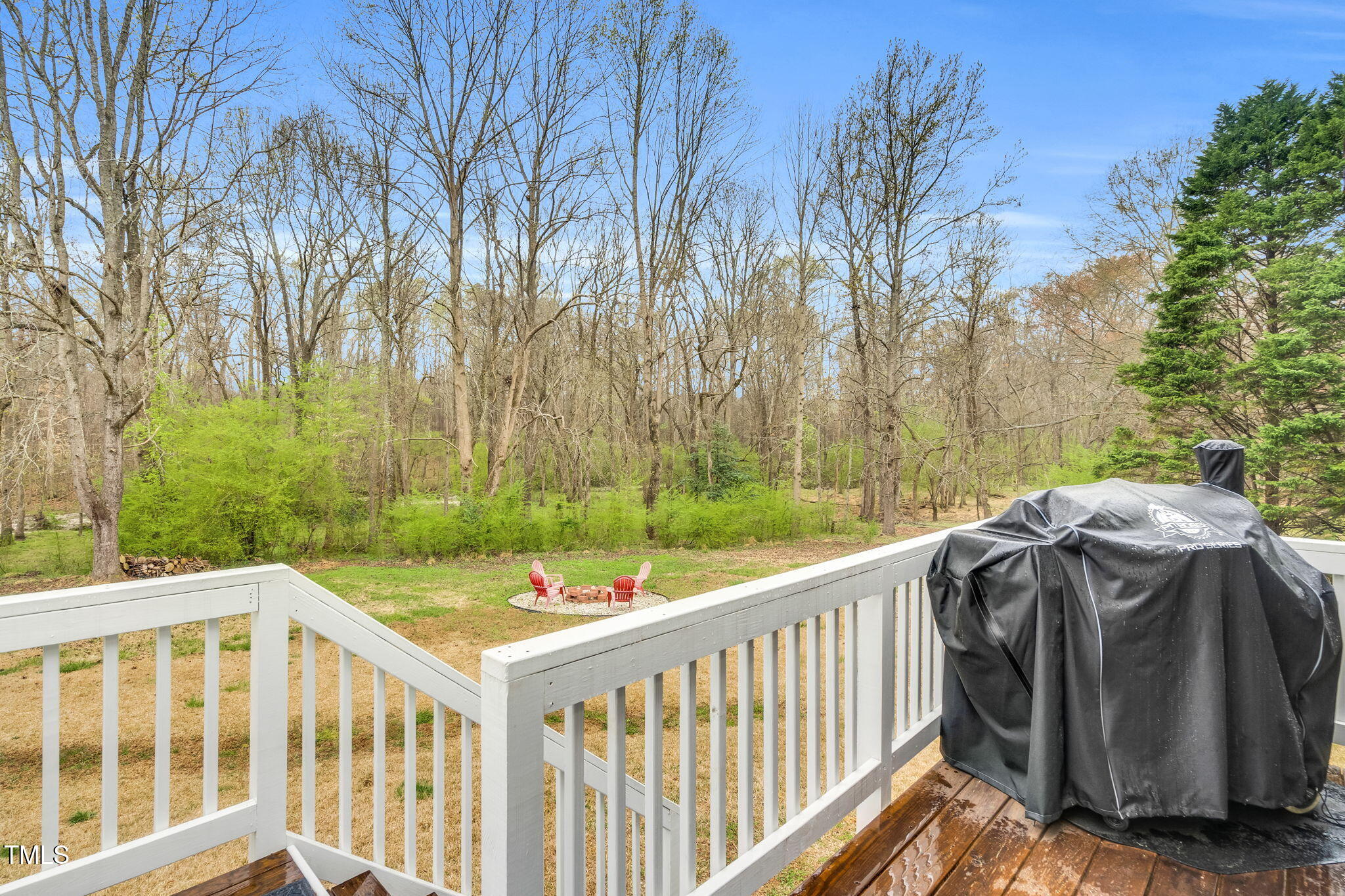 102 Steven Place Benson, NC 27504 - Photo 7 of 30 7-web-or-mls-DSC06119