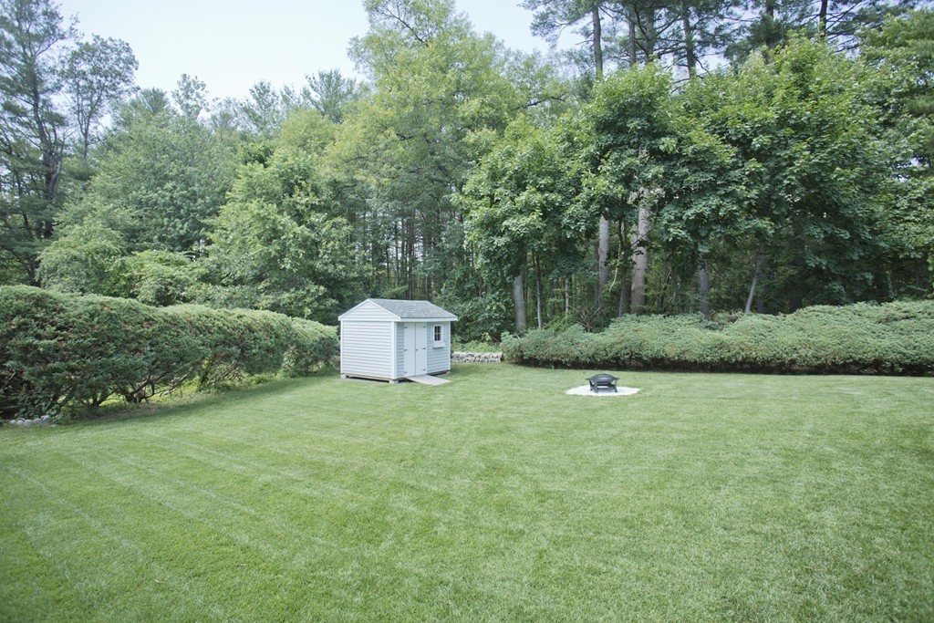 97 Calley Street Springfield, MA 01129 - Photo 28 of 30 a view of a tiny house with a yard and trees