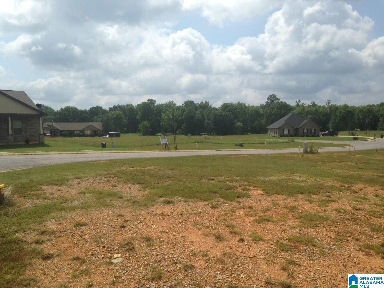 0 Bella Ridge, Unit 111 Lincoln, AL 35096 - Photo 12 of 12