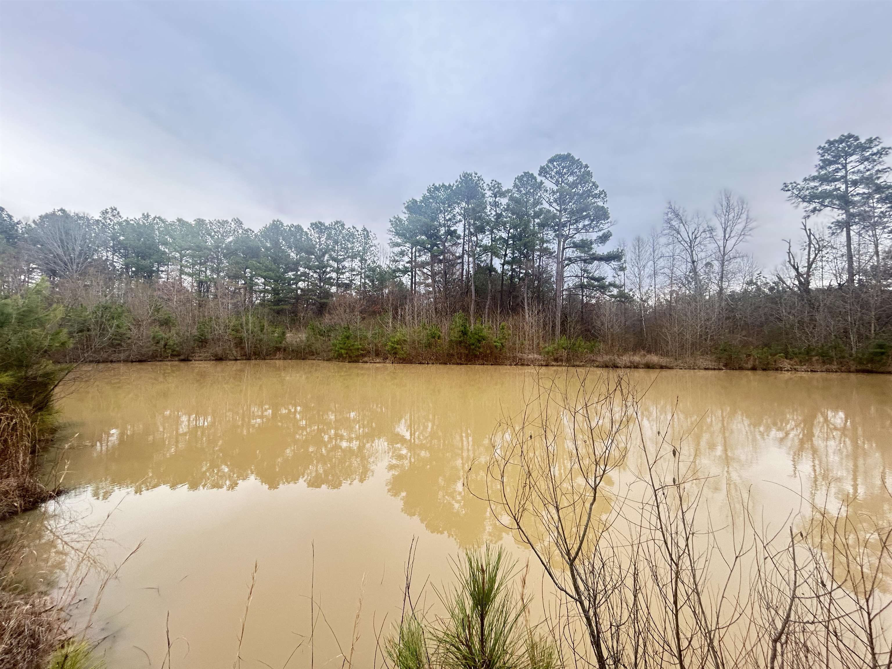11381 Macon Road Eads, TN 38028 - Photo 9 of 21 a view of lake