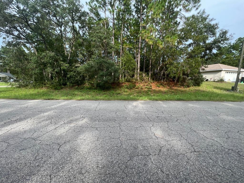 Tbd Southwest 143rd Ln Road Ocala, FL 34473 - Photo 1 of 1