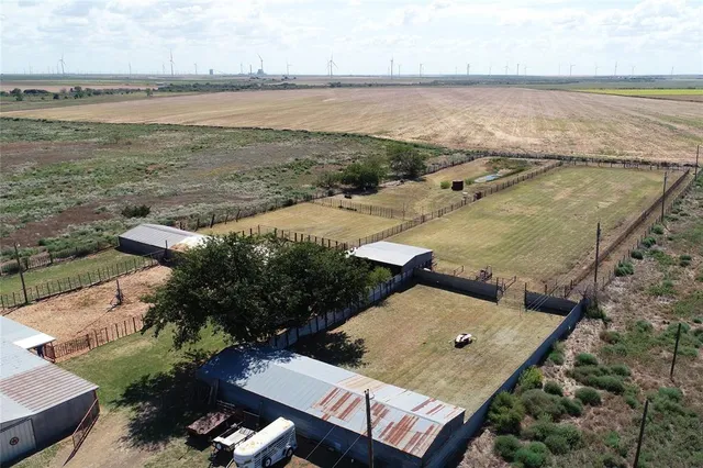 a view of a backyard with plants and a lake view