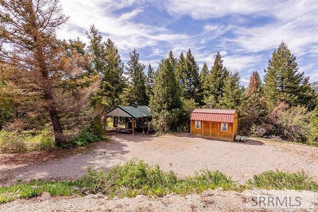 53 Squaw Creek Road Bancroft, ID 83217 - Photo 3 of 52