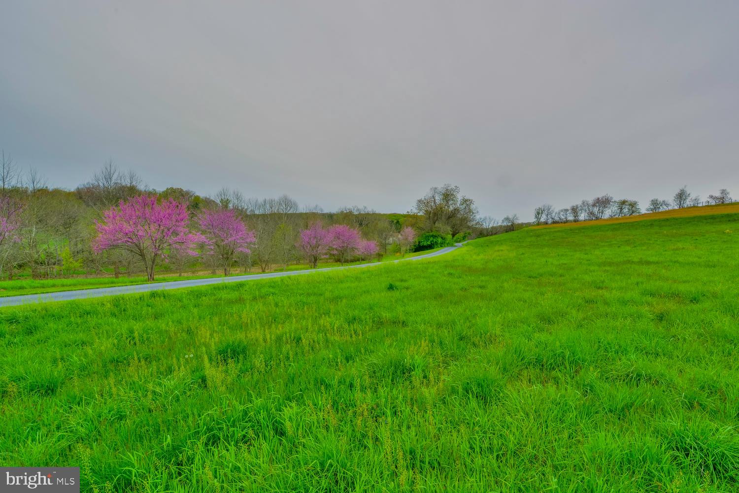 3466 Butler Road Reisterstown, MD 21136 - Photo 63 of 73
