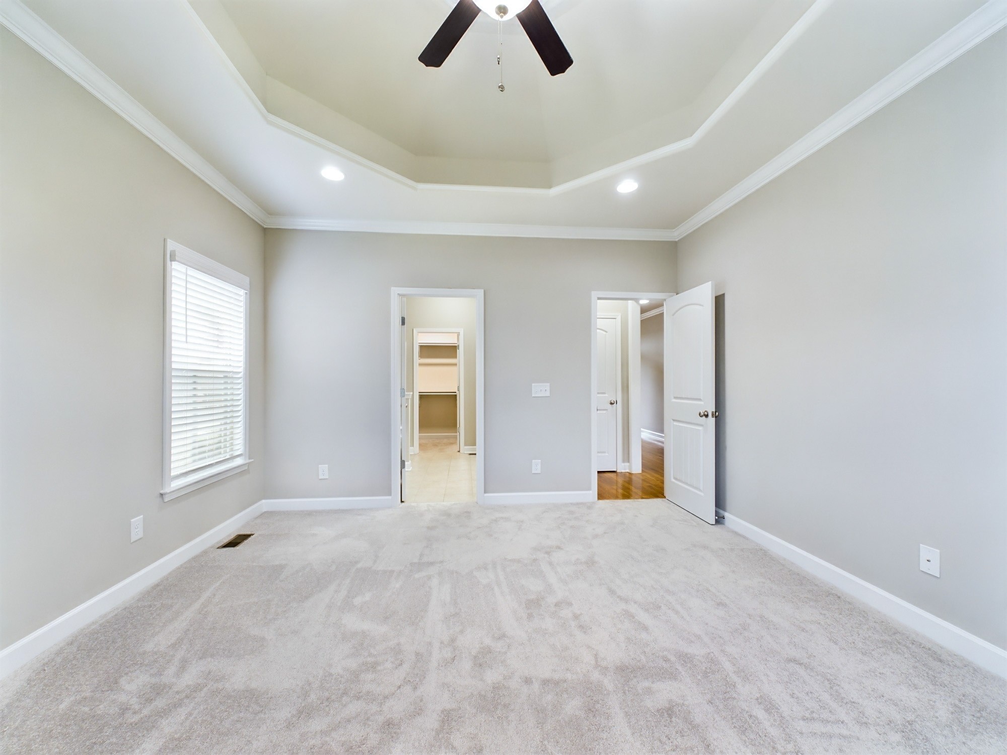 6001 Spade Drive Spring Hill, TN 37174 - Photo 15 of 31 an empty room with chandelier fan and windows