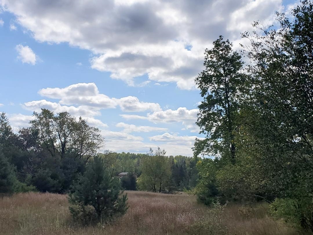 0 West 10 Road Mesick, MI 49668 - Photo 10 of 13