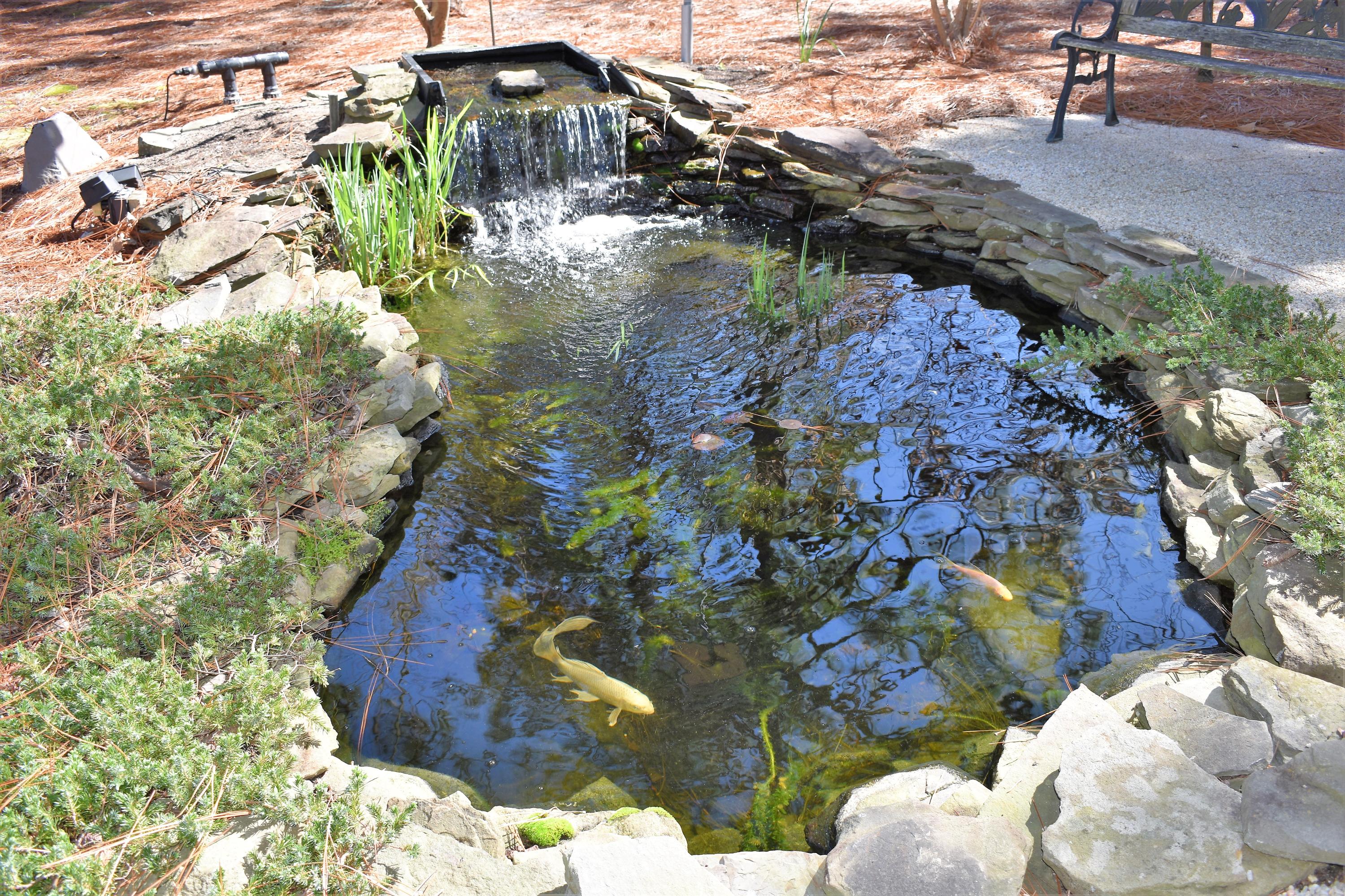 20 Oak Meadow Road Pinehurst, NC 28374 - Photo 53 of 58 DSC_0020