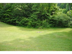 983 Flatwoods Road Bluff City, TN 37618 - Photo 17 of 24 NICE BIG YARD