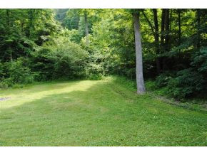 983 Flatwoods Road Bluff City, TN 37618 - Photo 18 of 24 SPREAD YOUR WINGS