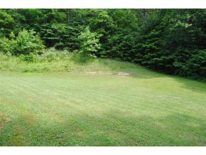 983 Flatwoods Road Bluff City, TN 37618 - Photo 19 of 24 HAVE YOUR OWN GARDEN